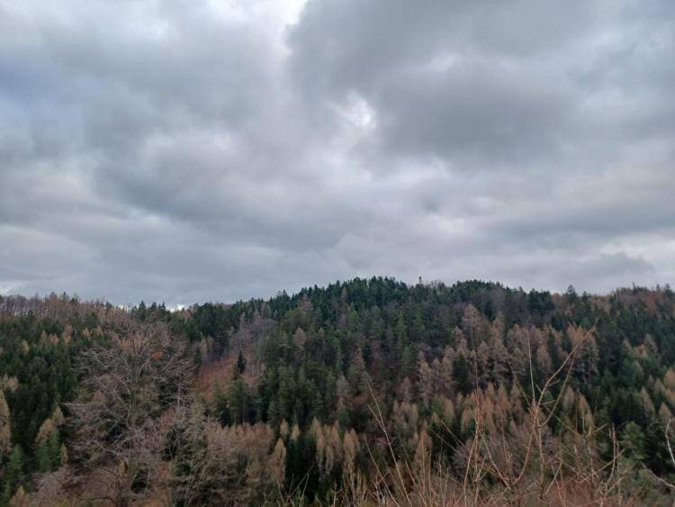 Apartmany Pod Klingerom Banská Štiavnica Exterior foto